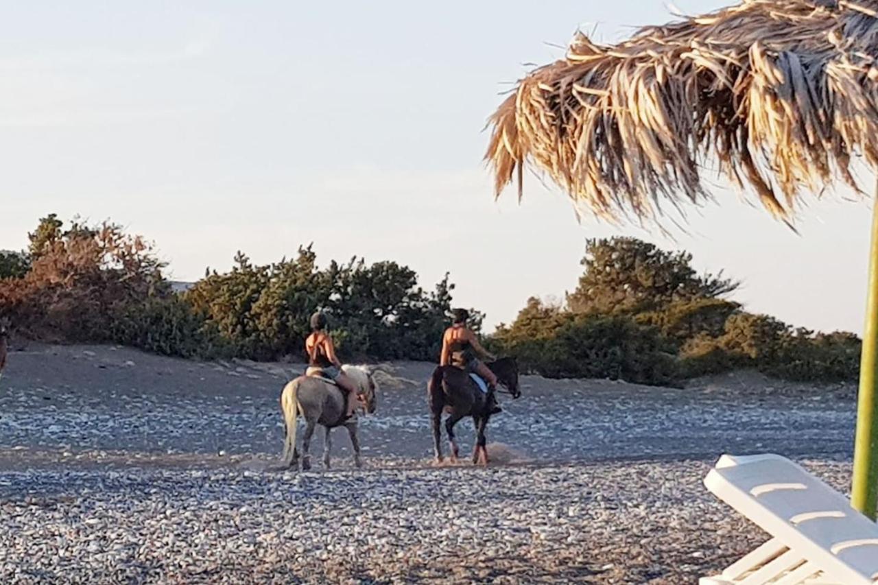 Cedrus And Sea, Beachfront House, Gennadi, Rhodes Exterior foto